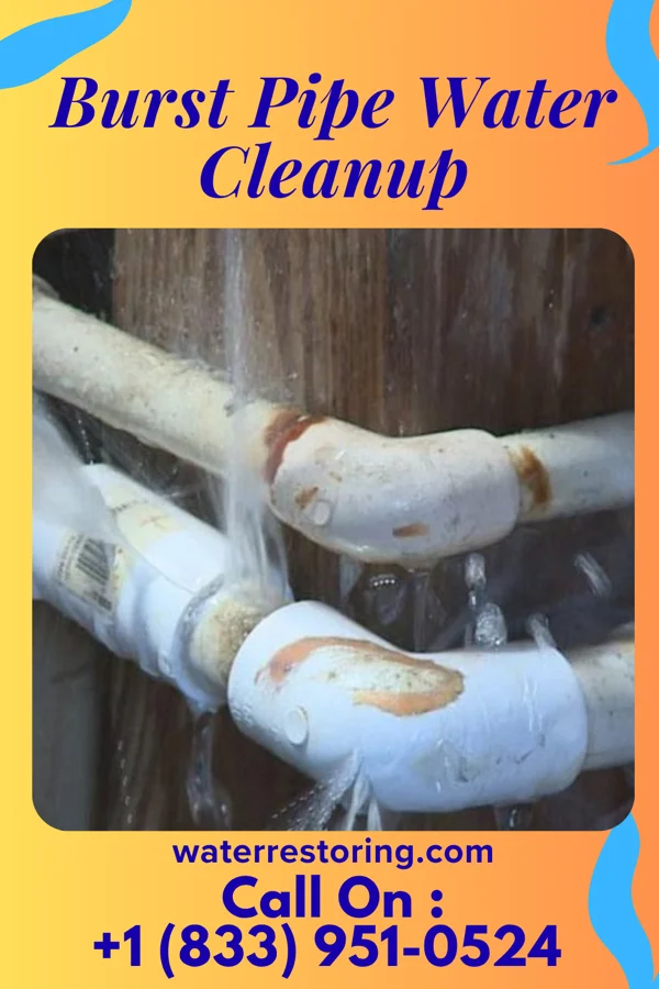 Burst Pipe Water Cleanup in Meridian Station, MS