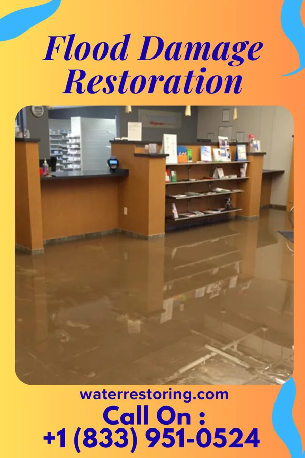 Flood Damage Restoration in Meridian Station, MS