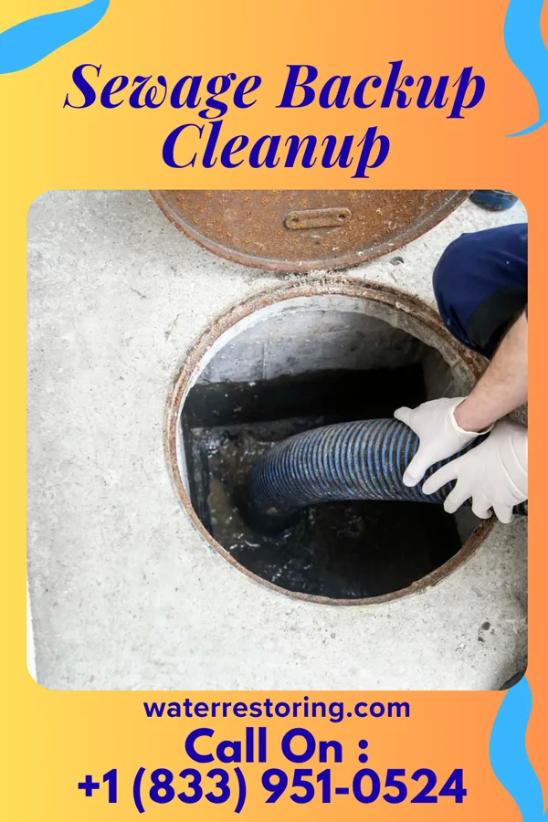 Sewage Backup Cleanup in Meridian Station, MS
