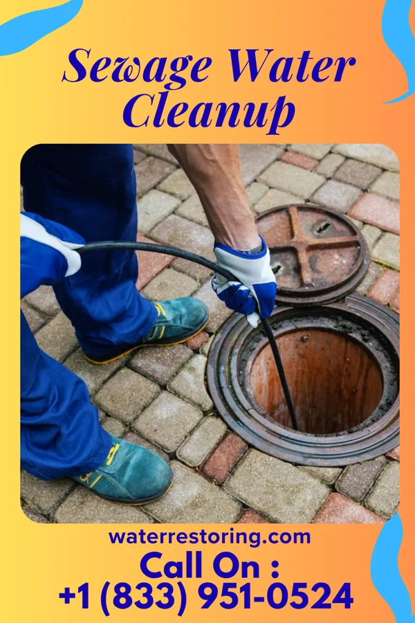 Sewage Water Cleanup in Meridian Station, MS