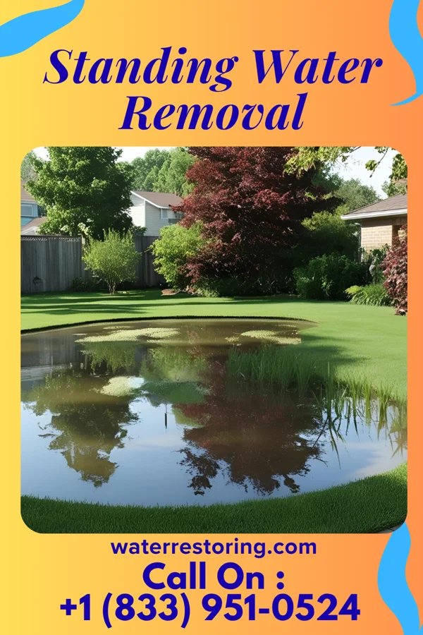 Standing Water Removal in Meridian Station, MS